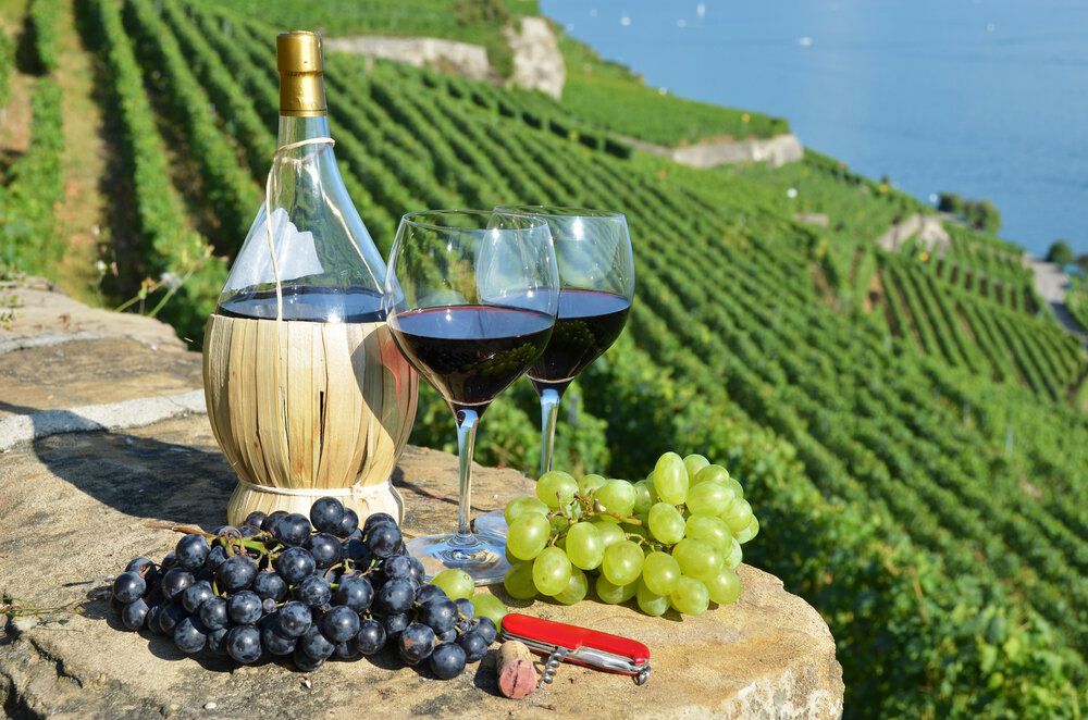 5-must-visit-wineries-in-tuscany